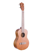 BAMBOO BU-26LN