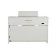 CASIO GP-310WE