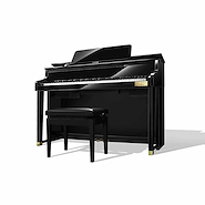 CASIO GP510BP