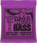 ERNIE BALL P02831