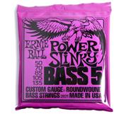 ERNIE BALL P02821