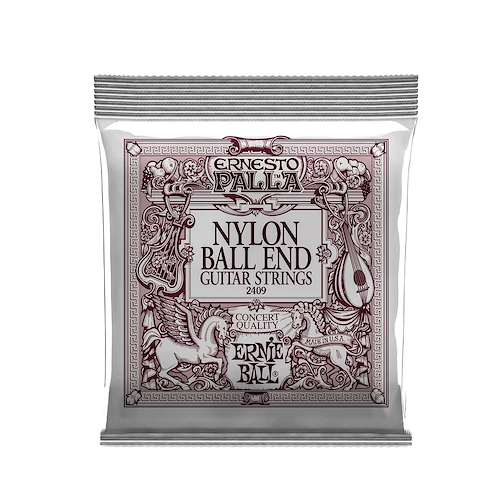 ERNIE BALL P02409