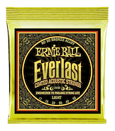 ERNIE BALL P02558