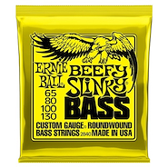 ERNIE BALL P02840