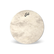 EVANS BD22CT