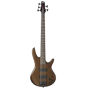IBANEZ GSR205BWNF