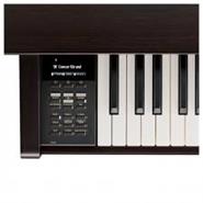 KAWAI CN39 R CON MUEBLE