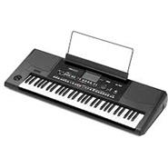 KORG Pa300 Arranger 61 Teclas RX Technolgy Pantalla Tac