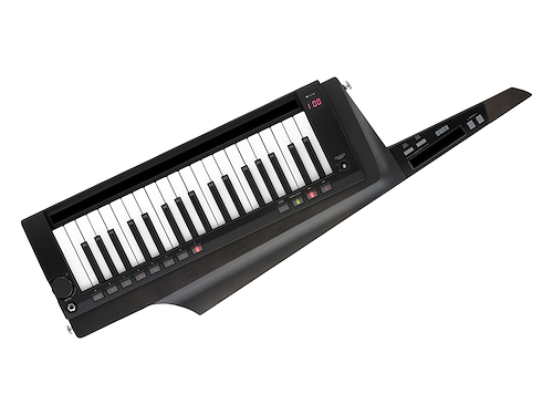 KORG RK-100S 2