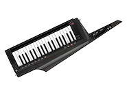 KORG RK-100S 2