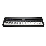 KURZWEIL MPS110