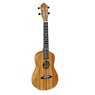 ORTEGA RFU11Z