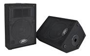 PEAVEY PVi 10- 80W Program -Full Range 2 vías - Woofer 10