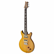 PRS SASY