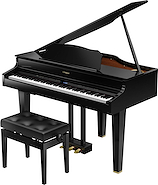 ROLAND GP607PE