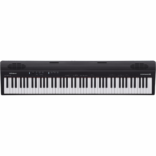 ROLAND GO88P