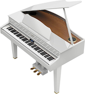 ROLAND GP607PW