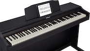 ROLAND RP102BK