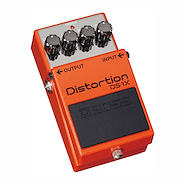 ROLAND DS1X