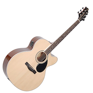 SAMICK GJ-100SCE