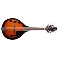 STAGG M20