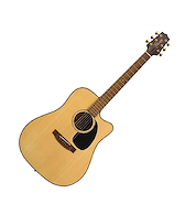 TAKAMINE EG340C