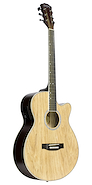 WASHBURN 1WA45CEN