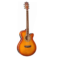 WASHBURN EA15 I Ice Tea