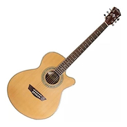 WASHBURN EA15 N Natural