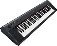 YAMAHA NP12