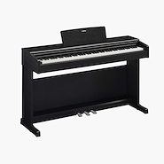 YAMAHA YDP145B