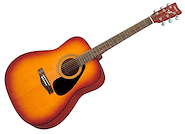 YAMAHA F310P
(CS/TBS)