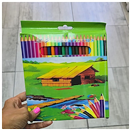 LAPICES DE COLORES EN CAJA X 24