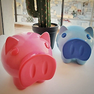 CHANCHO ALCANCIA