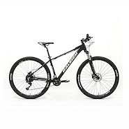 RALEIGH MOJAVE 4.0 R29