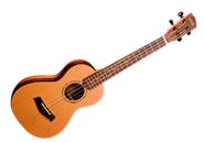 ASHLAND UK212S Ukelele 21