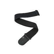 DADDARIO Planet Waves PWS100