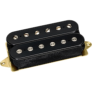 DIMARZIO DP-160  NORTON F SPACED Micrófono Doble Bobina