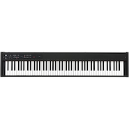 KORG D1 Piano 88 notas, RH3, 30 Sonidos, Portable, MIDI