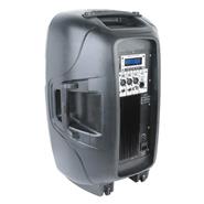 MOON AUDIO PROFESIONAL BE12DMUP