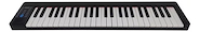 PARQUER PJ49Z Organo Teclado Musical - 49  teclas - Sensitivo
