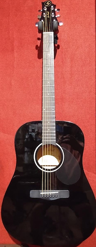 SAMICK D-1 BK Guitarra acústica Serie GOLD RUSH.
Cuerpo Dreadnough - $ 351.008