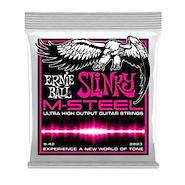 ERNIE BALL P02923