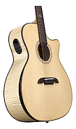 ALVAREZ AEG80ce Armrest