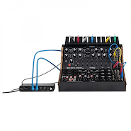 MOOG MSS - Subharmonicon + DFAM