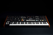 MOOG Muse