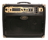 PEAVEY ECOUSTIC E110