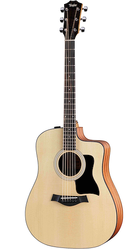 TAYLOR 110ce