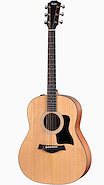 TAYLOR 117 e