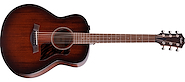 TAYLOR AD21e